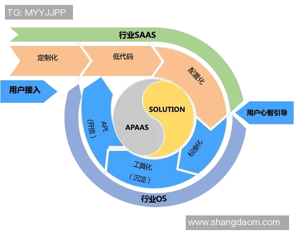 深圳乒乓球队转型之路的挑战与机遇全景解析